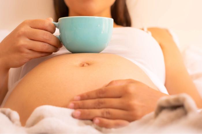 Que infusiones se pueden tomar durante el embarazo Club Familias